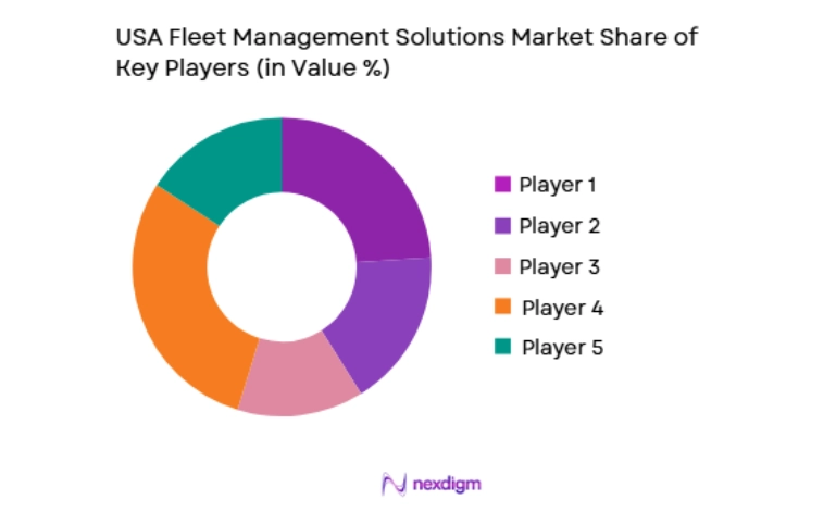 USA Fleet Management Solutions Market key players