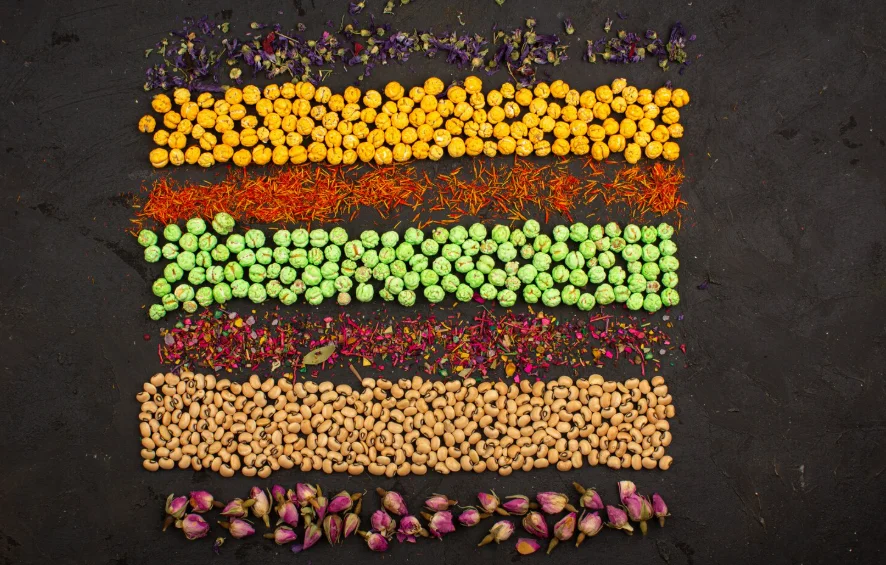 USA Seed Market Outlook 2035 USA-Seed-Market