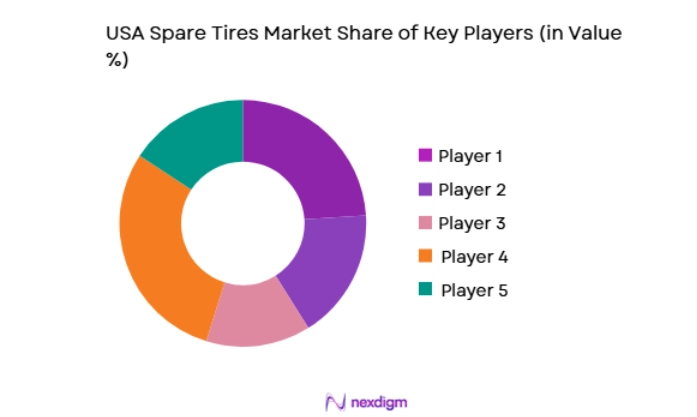 USA Spare Tires Market key players