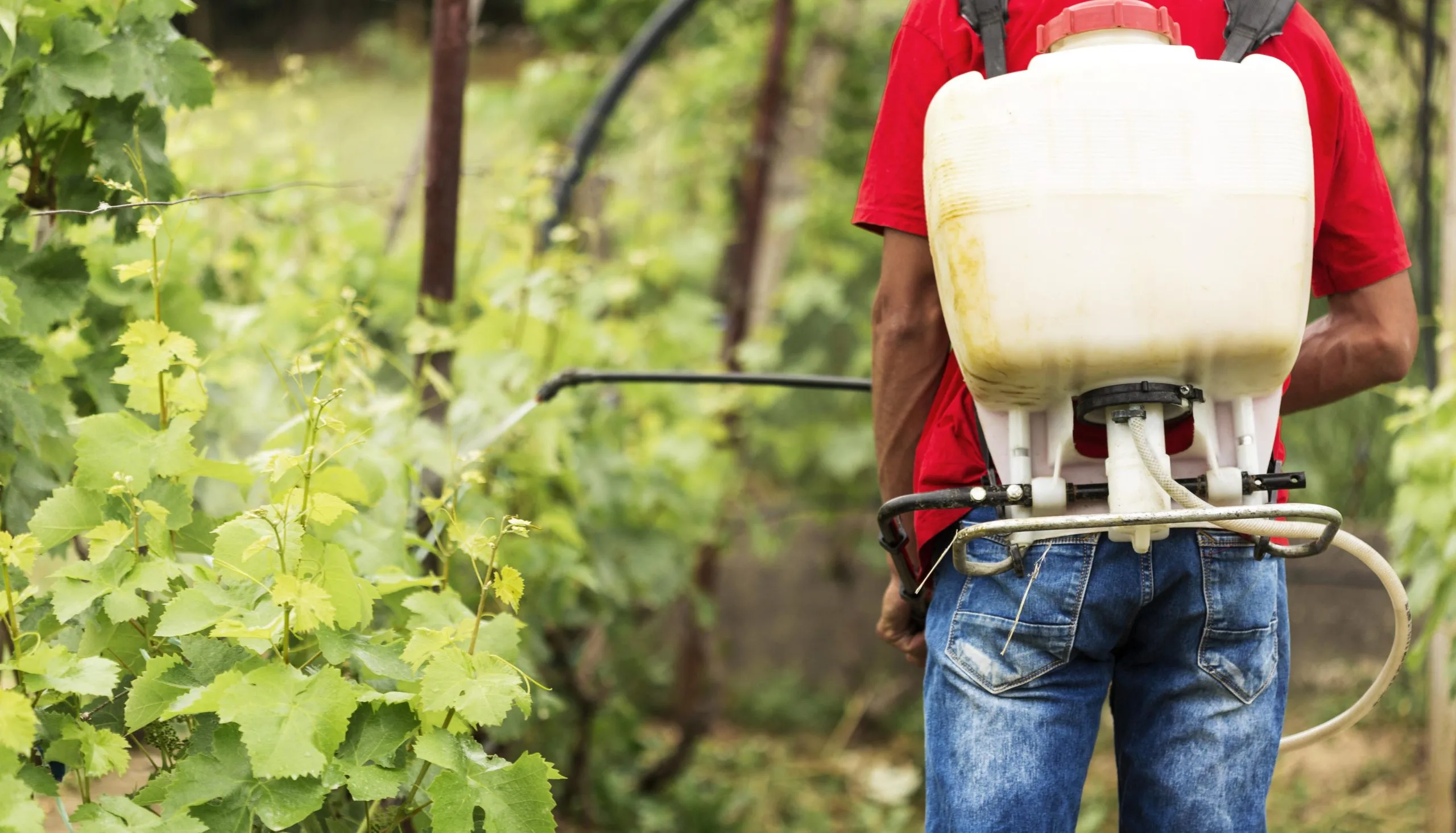 USA Used Agricultural Sprayer Market Outlook 2035 USA-Used-Agricultural-Sprayer-Market-scaled