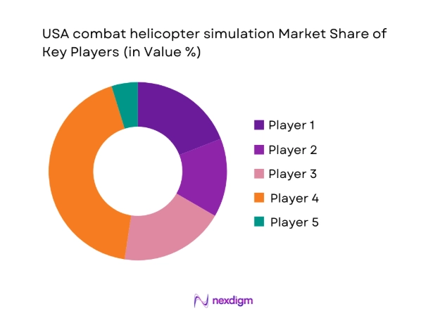 USA combat helicopter simulation