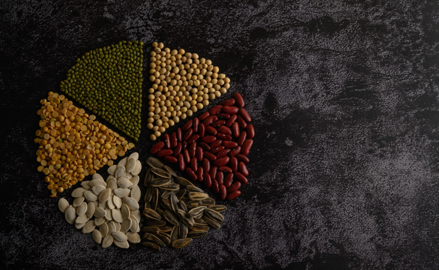 Vietnam Seed Market Outlook 2035 Vietnam-Seed-Market