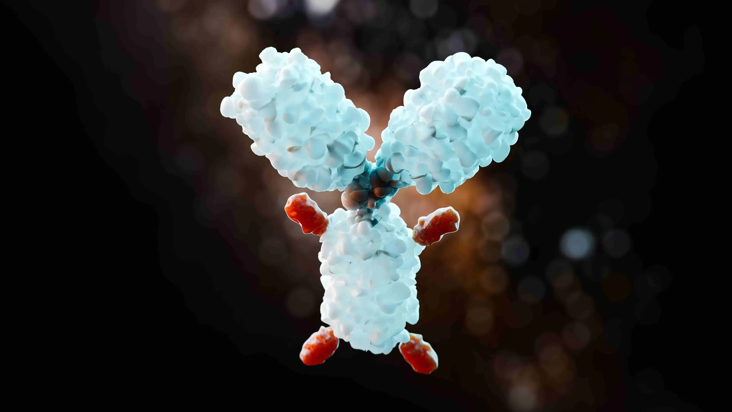 USA Autoantibody Panels Market Outlook 2030 concept-image-anticancer-drug-called-adc-3d-rendering_compressed-scaled