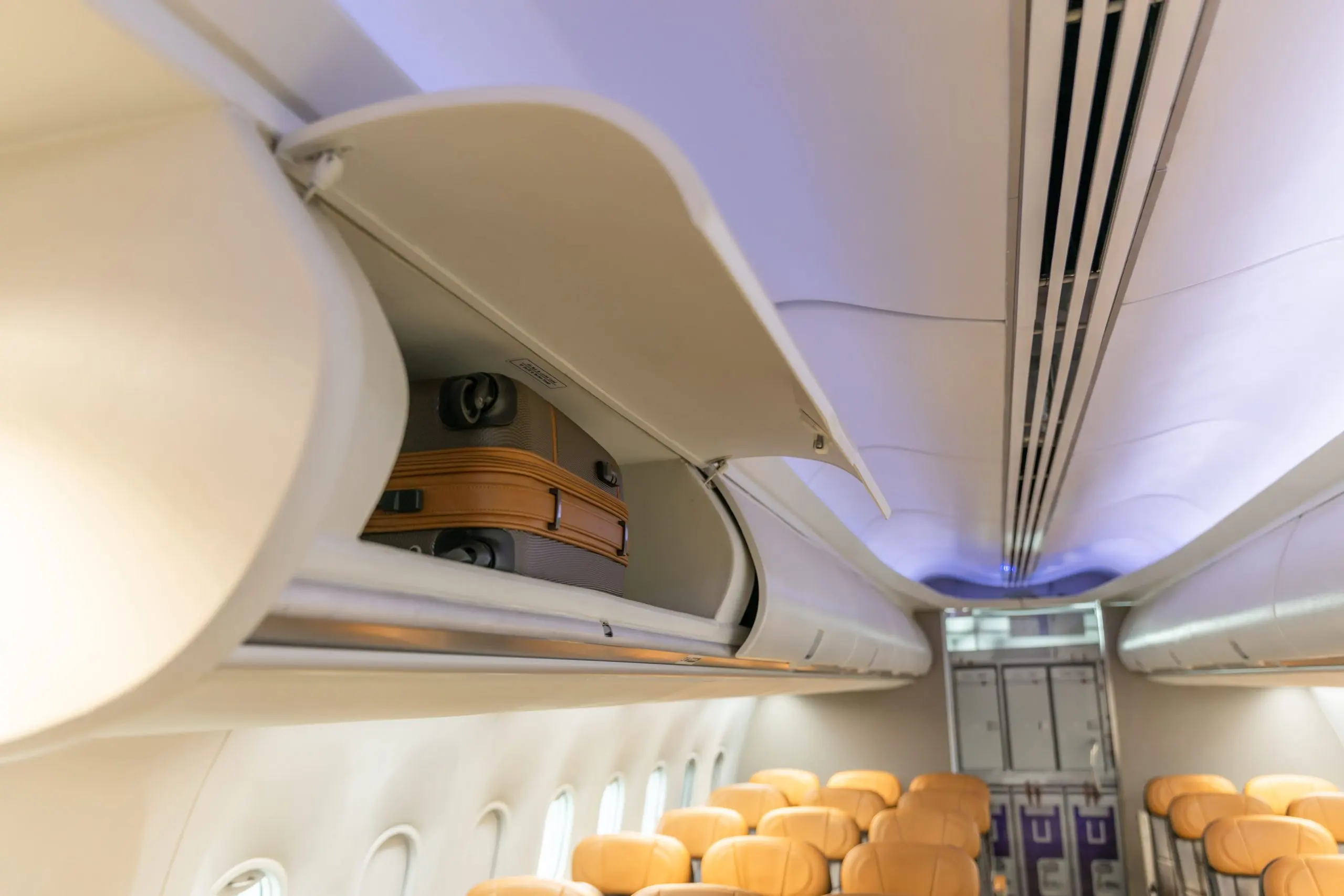 India Cabin Interior Composites Market outlook to 2035 flight-carry-bag-cabinet-board-suitcase-storage-overhead-bin-passenger-cabin-crew-1-scaled