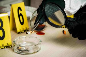 India Digital Forensic Laboratory-as-a-Service Market outlook 2035