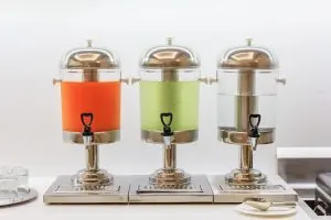 India decoys and dispensers Market outlook 2035