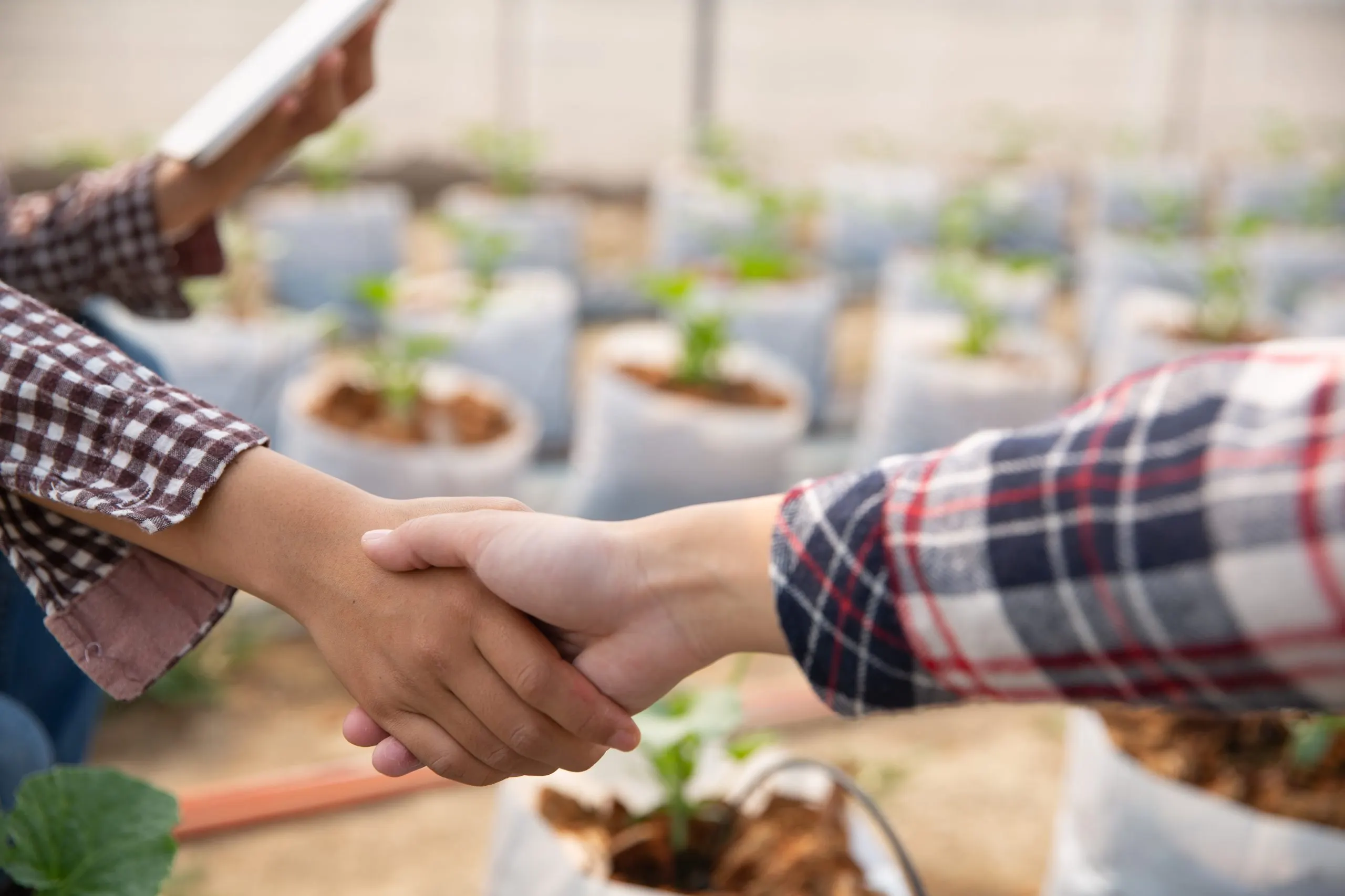 Agri-Dealer Strengthening and Channel Profitability Strategy in Malaysia’s $30Bn Agriculture Industry partner-enablement-in-agriculture-sector-in-malaysia-scaled