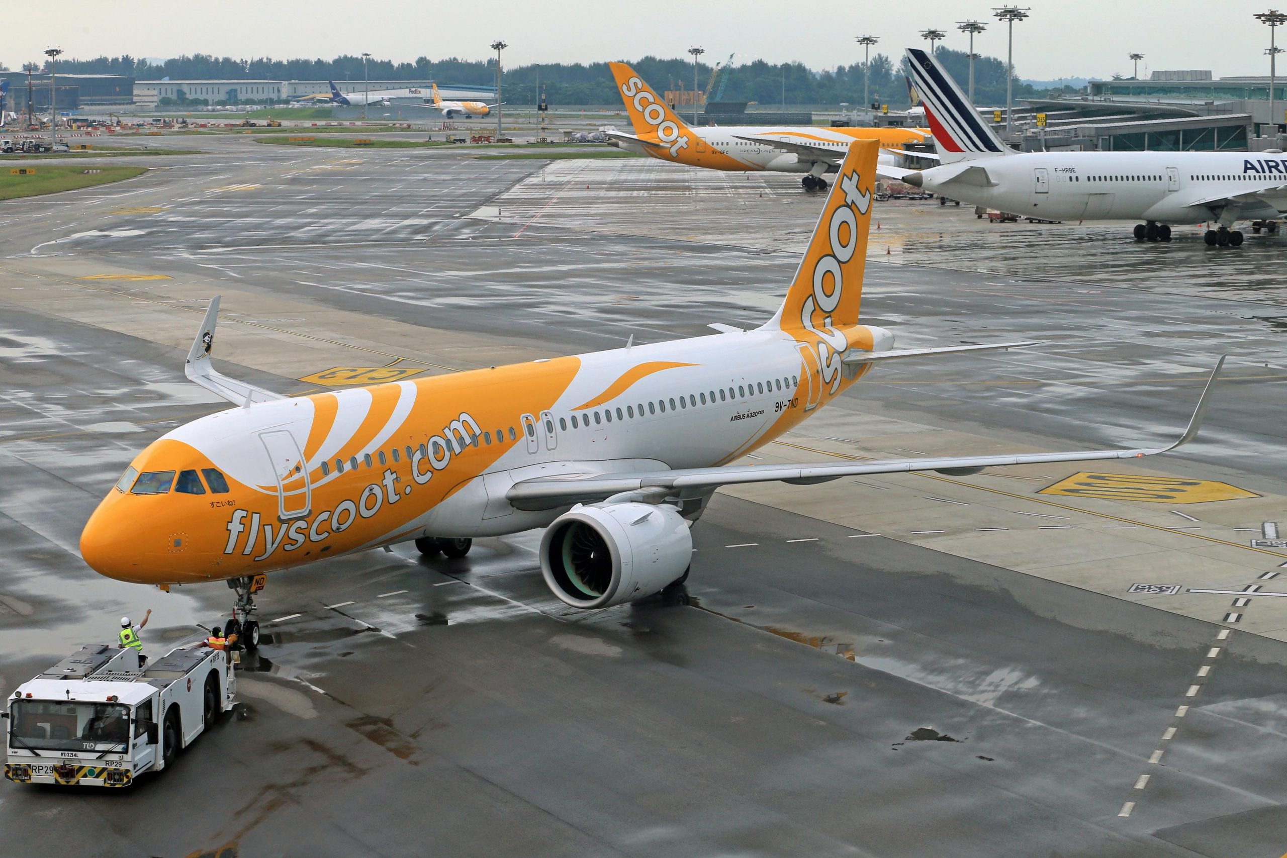 pexels-andromeda99-19990674-1-scaled