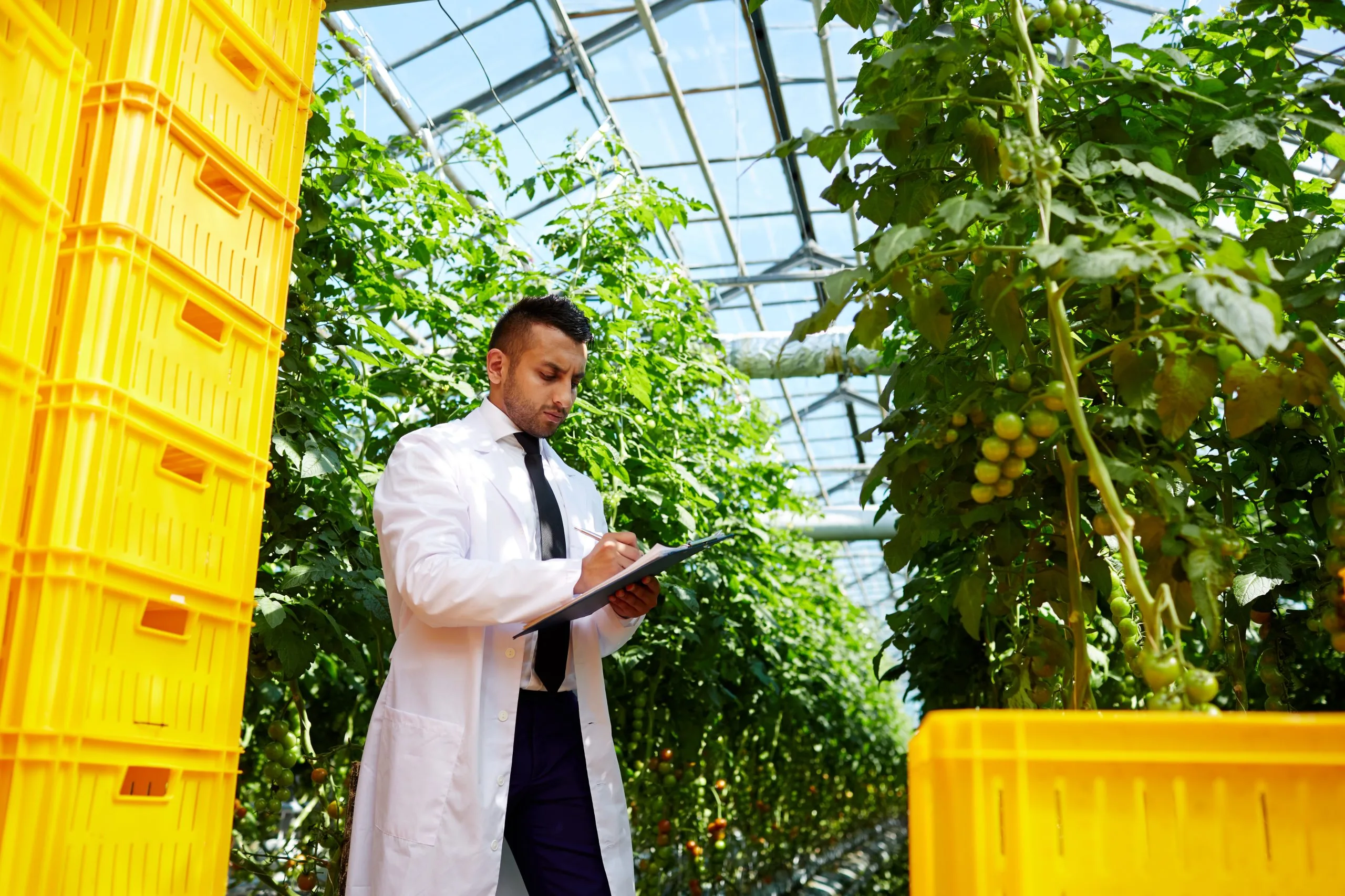 Commodity-Linked Pricing Strategy and Margin Stability in Malaysia’s $30Bn Agriculture Sector pricing-analysis-in-agriculture-sector-in-malaysia-scaled