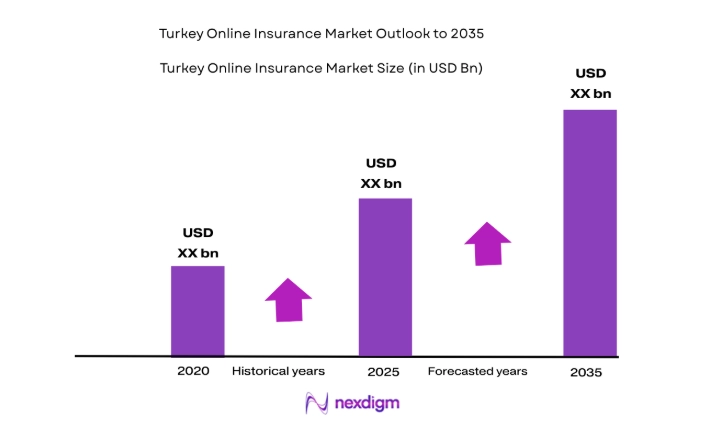Turkey online insurance Market size