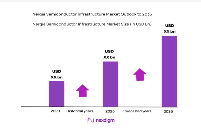 Nigeria Semiconductor Infrastructure Market size