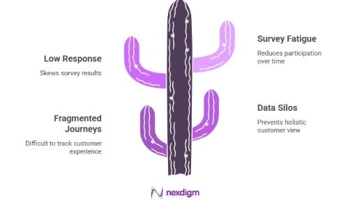 Barriers to Effective Telecom Voice of Customer Surveys