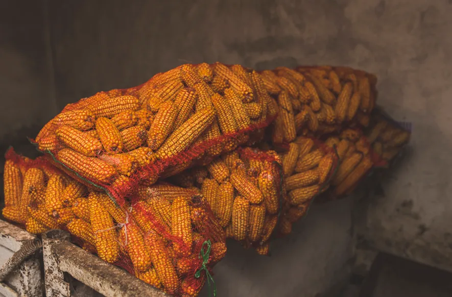 Brazil Harvesting Equipment Market Soybean & Corn Outlook to 2035 Brazil-Harvesting-Equipment-Market-Soybean-Corn-