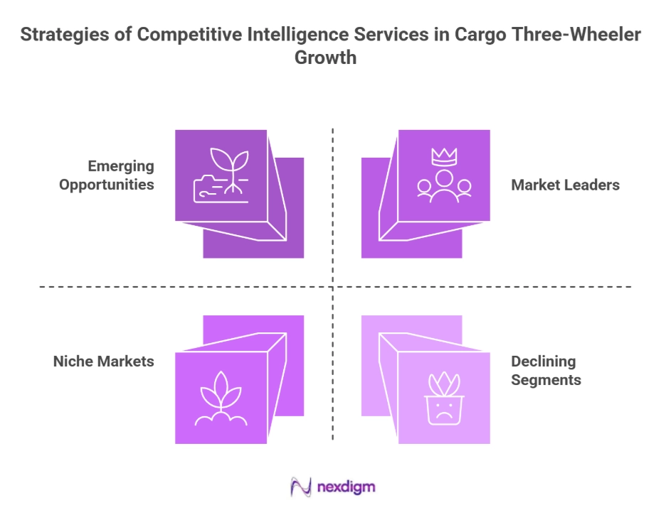 Competitive Intelligence Services in Cargo Three-Wheeler