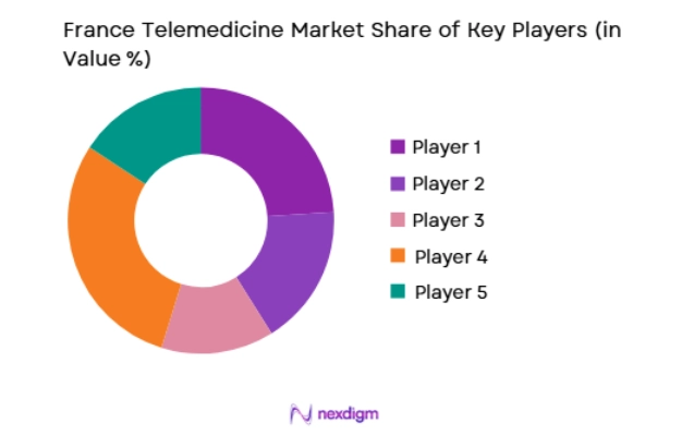 France Telemedicine Market key players