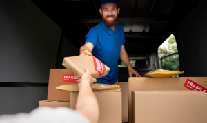 India CEP Market Outlook to 2035