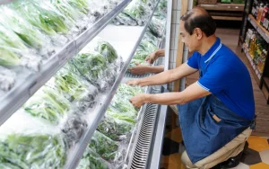 India Cold Chain Logistics Market Outlook to 2035