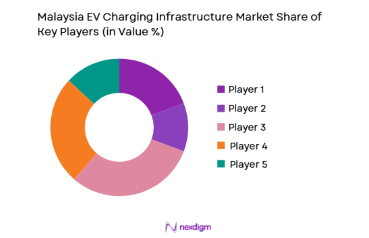 Malaysia EV Charging Infrastructure Market key players