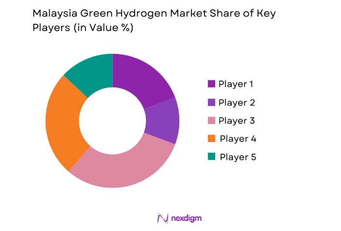Malaysia Green Hydrogen Market key players