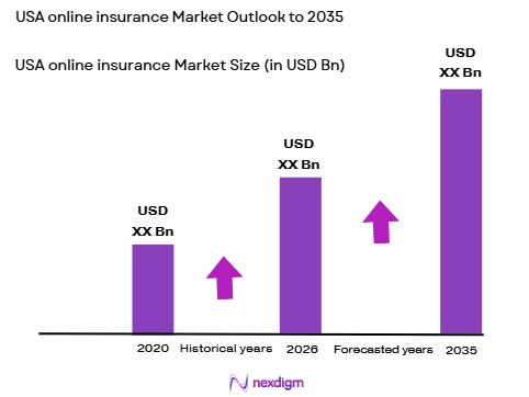 USA Online Insurance Market size