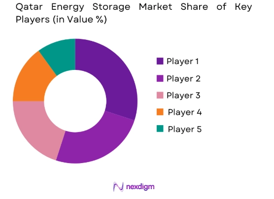 Qatar energy storage market share of key players