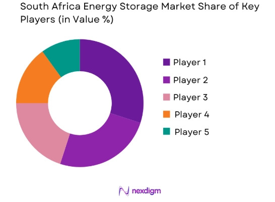 South Africa Energy Storage market share of key players