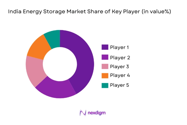 India Energy Storage Market