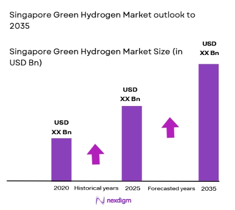 Singapore Green Hydrogen Market size