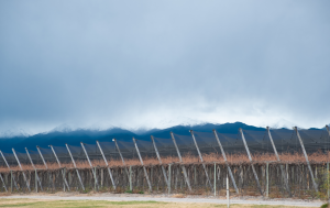 Turkey Energy Storage Market Outlook to 2035