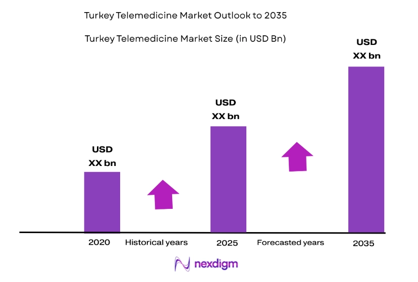 Turkey Telemedicine Market size