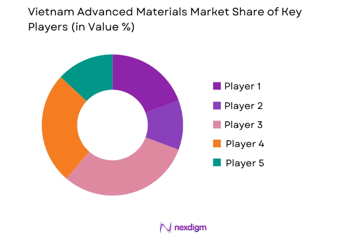 Vietnam Advanced Materials Market key players