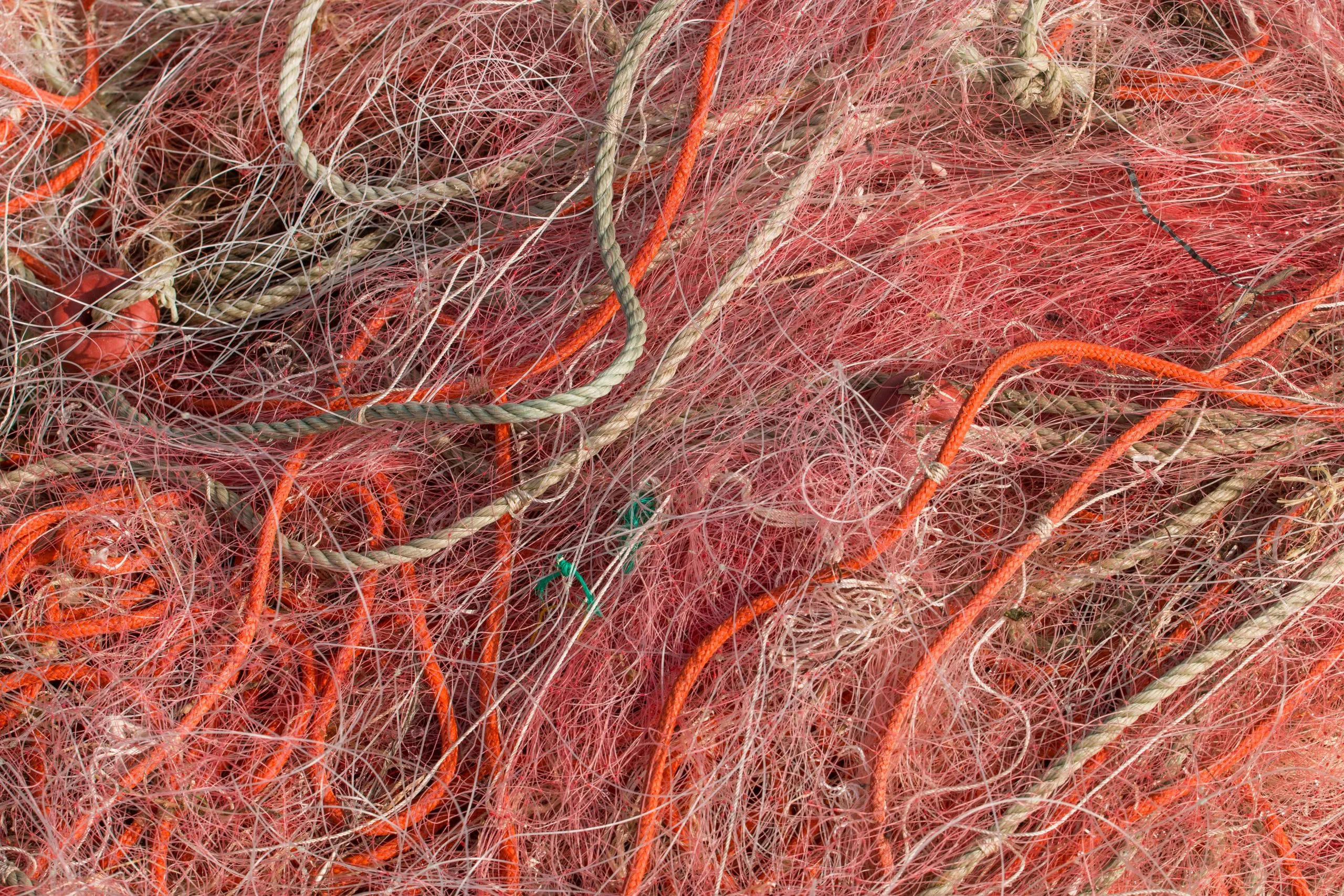 India Para-Aramid Fibers Market Outlook to 2035 fishing-net-scaled