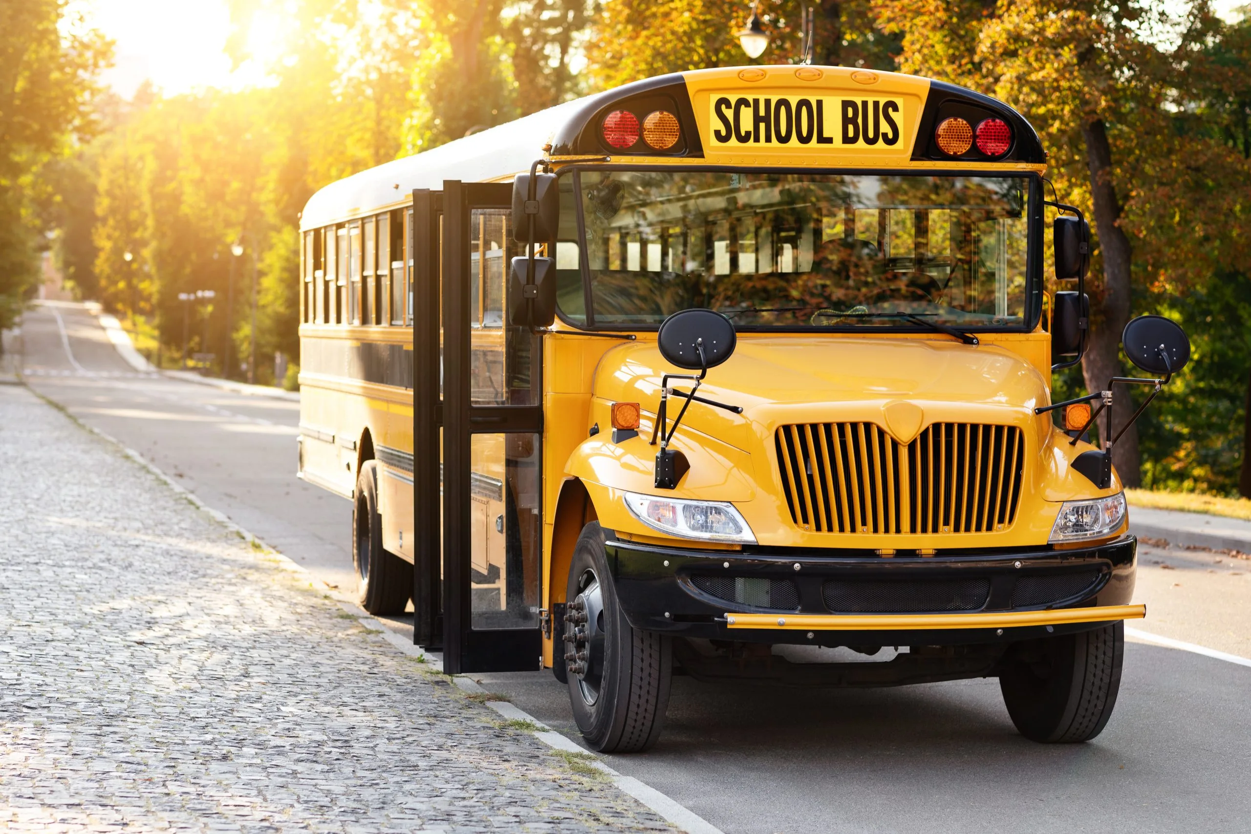 School Bus Market Study Points to 3–4% Growth Supported by Institutional Demand school-bus-competitor-market-study-scaled