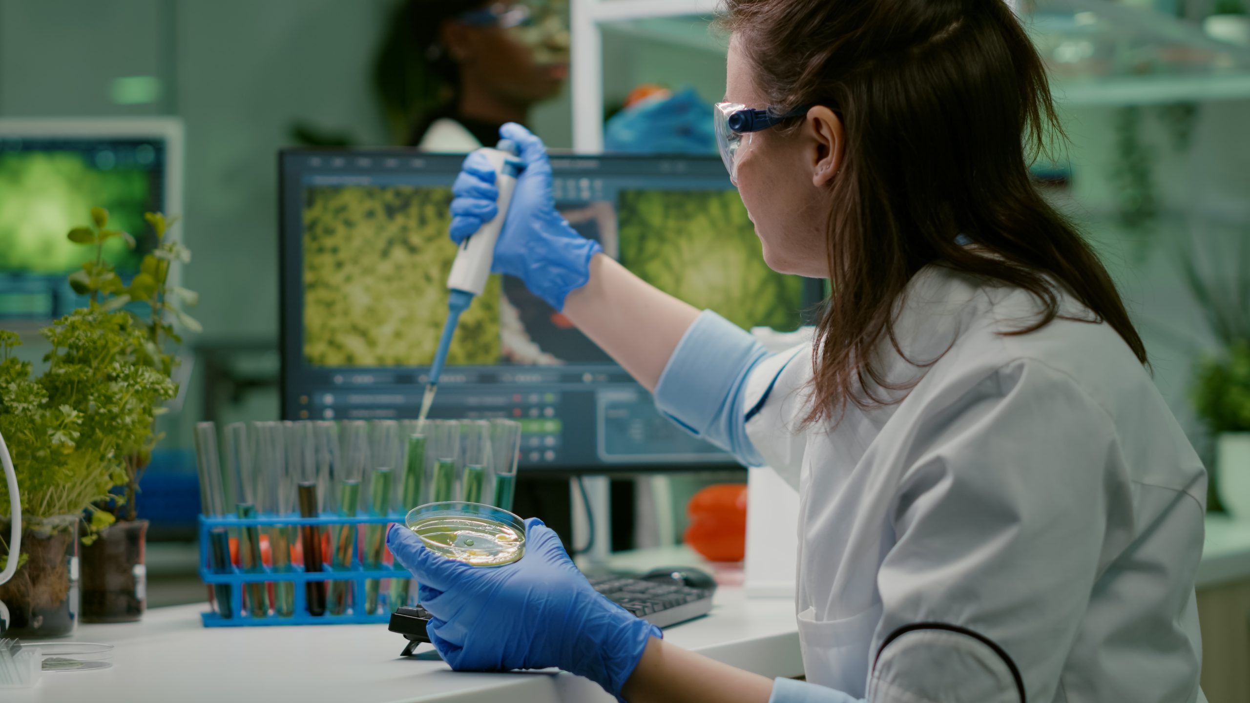 scientist-woman-taking-genetic-solution-from-test-tube-with-micropipette-putting-petri-dish-scaled