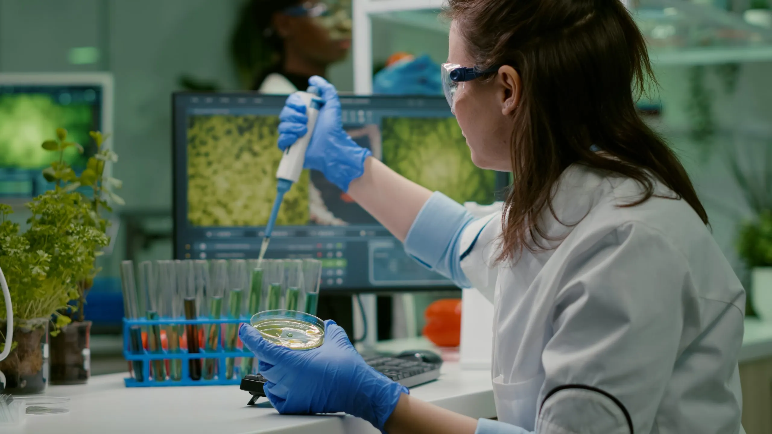 USA Prognostic Biomarkers Market Outlook 2035 scientist-woman-taking-genetic-solution-from-test-tube-with-micropipette-putting-petri-dish-scaled
