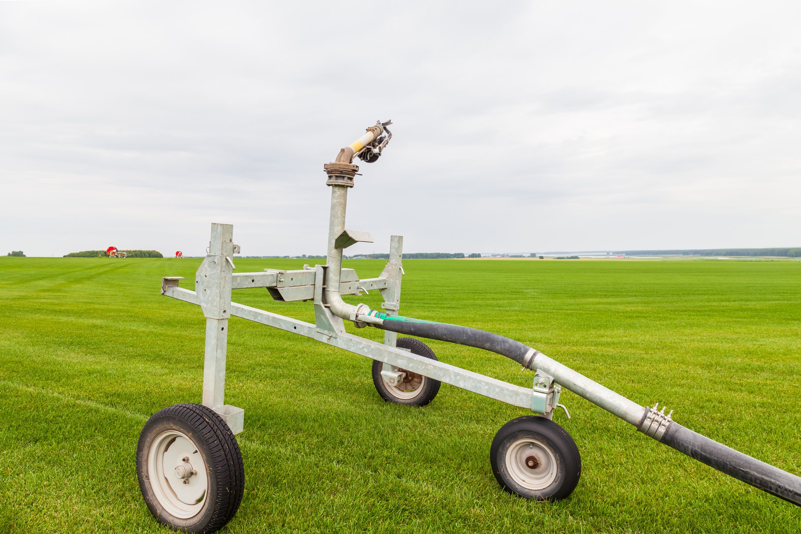 small-cart-with-green-label-it-sits-field-with-field-background-scaled
