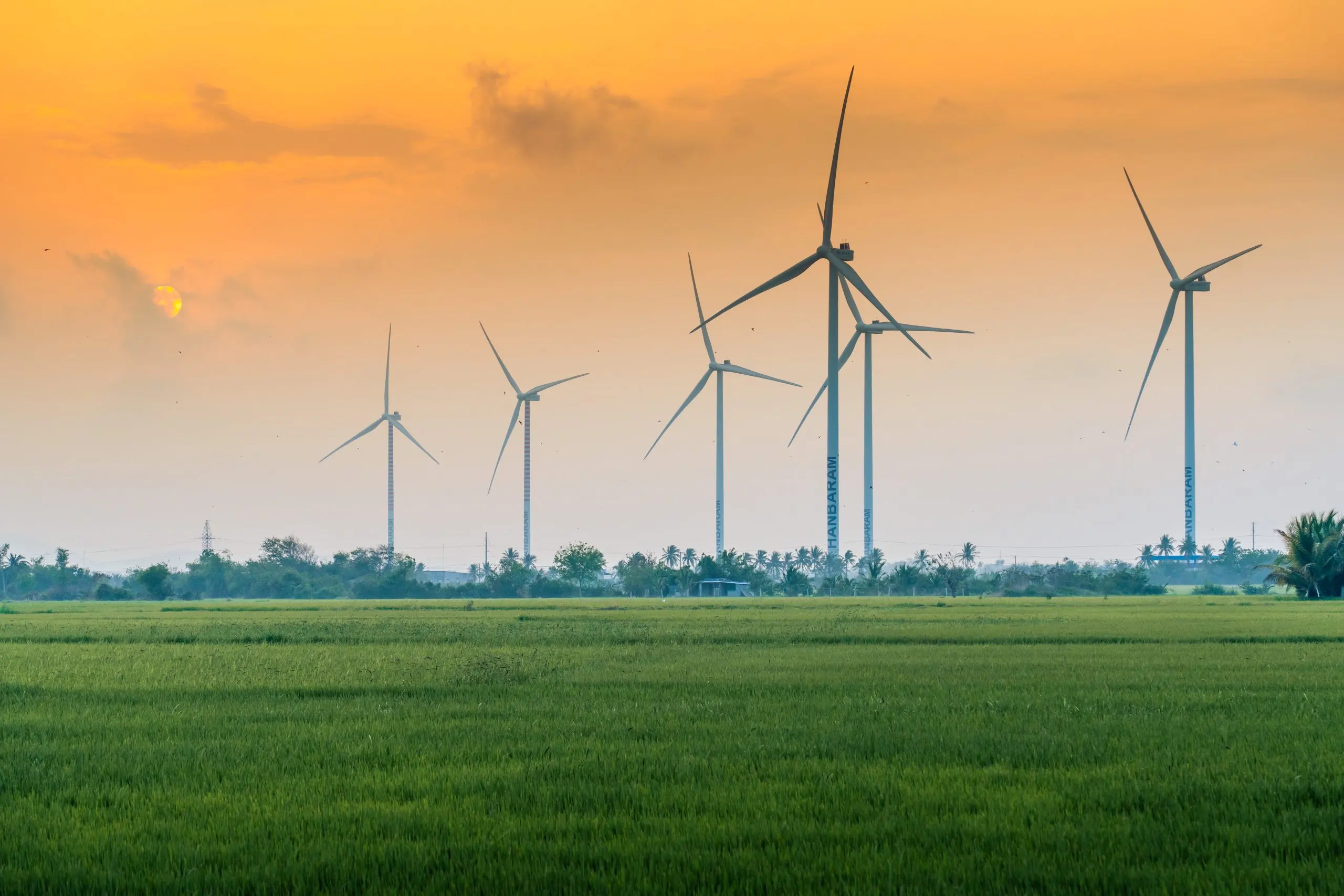 Germany Wind Energy Market Outlook to 2035 view-turbine-green-energy-electricity-windmill-electric-power-production-wind-turbines-generating-electricity-rice-field-phan-rang-ninh-thuan-province-vietnam-scaled