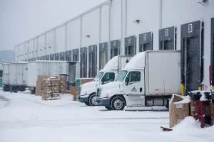 Transforming Germany’s Cold Chain Logistics, Growth, Innovation, and Strategic Investments Shaping the Industry