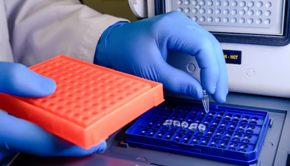 Philippines Whole Exome Sequencing Market Outlook 2035 Philippines-Whole-Exome-Sequencing-Market