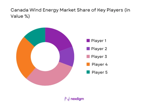 Canada Wind Energy Market by key players 