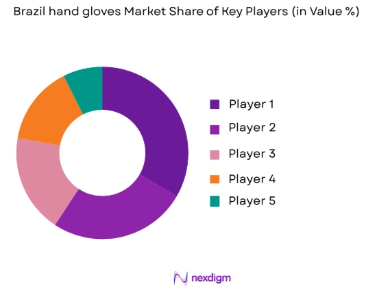 Brazil hand gloves market share of key players