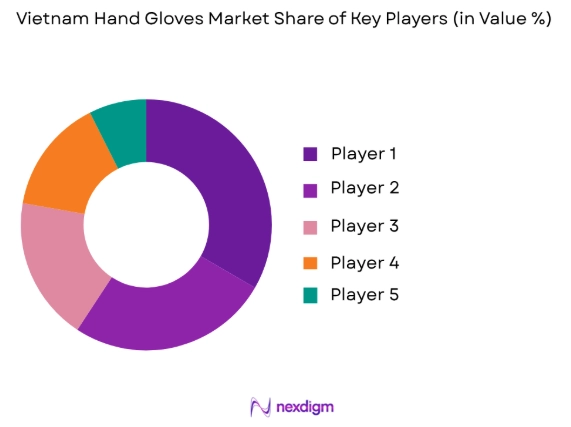 Vietnam hand gloves market share of key players