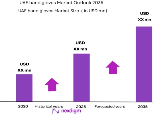 UAE hand gloves market size