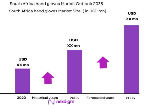South Africa hand gloves market size
