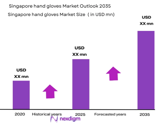 Singapore Hand Gloves Market size