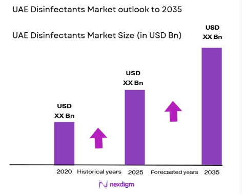 UAE Disinfectants Market size