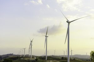 Shaping South Korea’s Renewable Future, The Rise of Wind Energy