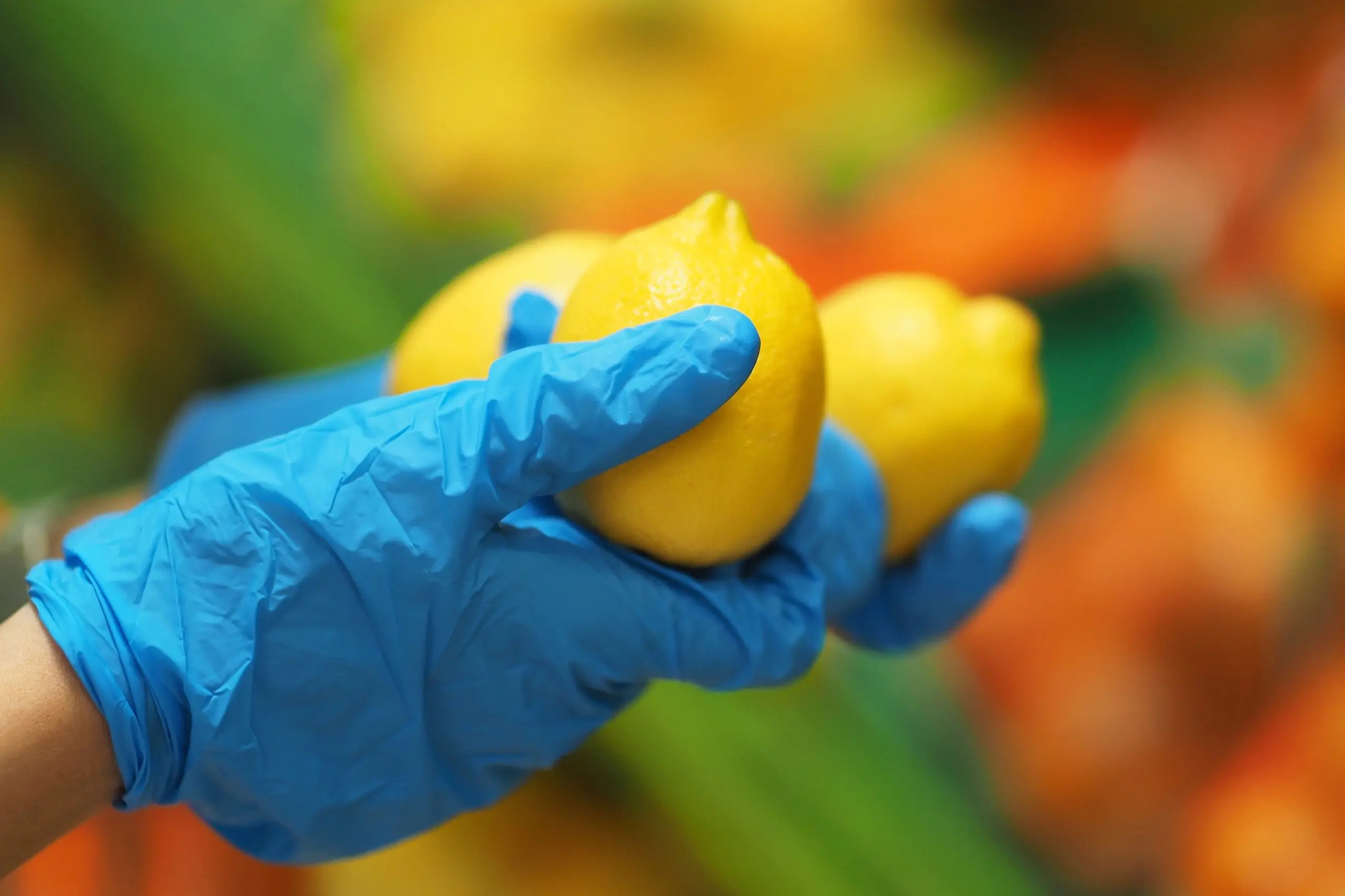 Singapore hand gloves Market Outlook to 2035 close-up-female-hands-blue-gloves-choosing-lemon-supermarket-pandemic-coronavirus-covid-19-scaled