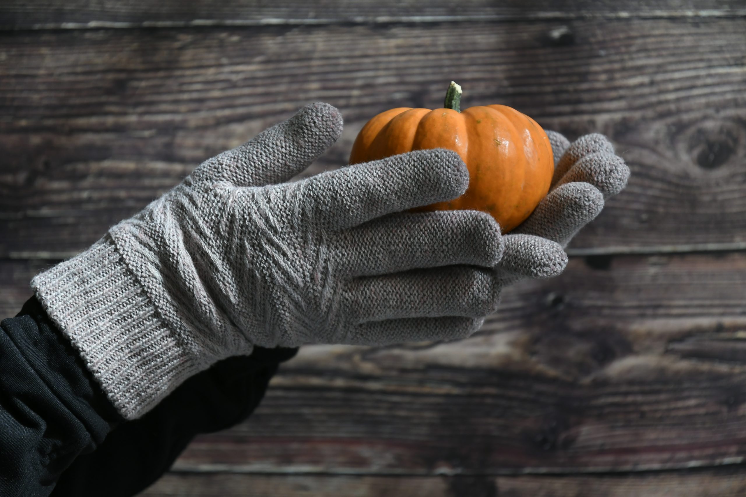 Philippines hand gloves Market Outlook to 2035 close-up-hand-holding-pumpkin-scaled