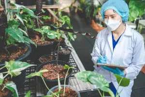 How Fertilizer Companies Navigate Cost Pressures in a Market Influenced by Global Demand Cycles